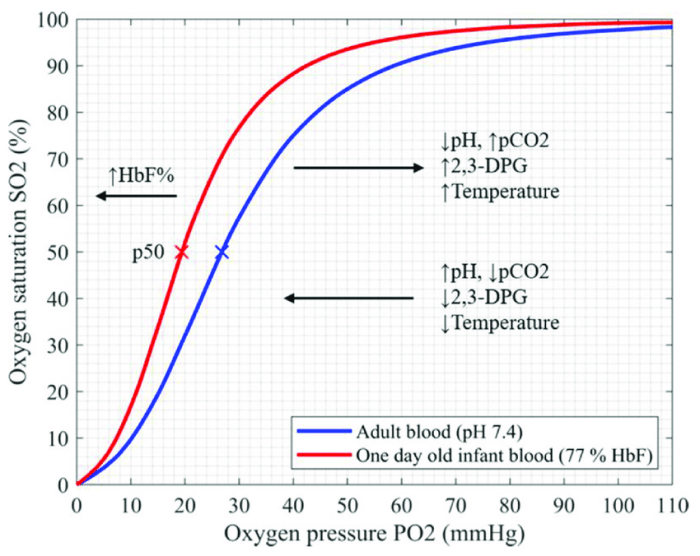 Oxygen difference summarized