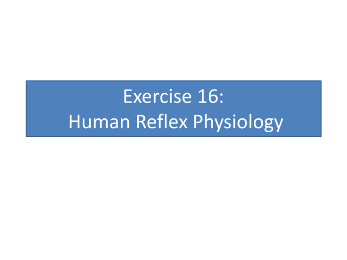 Exercise 21 human reflex physiology