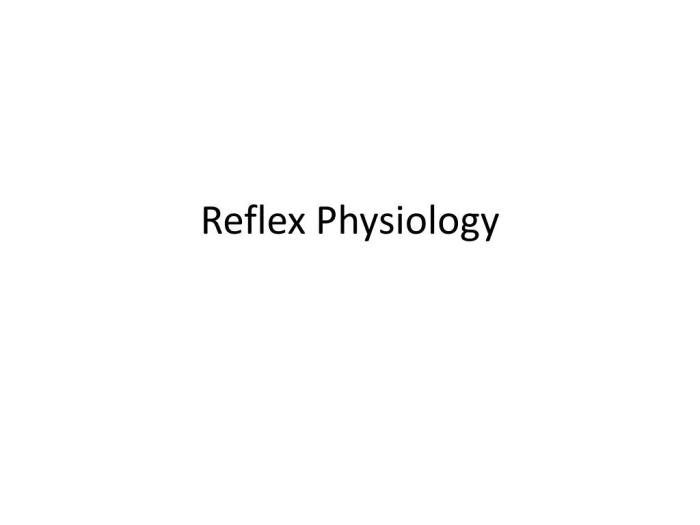 Exercise 21 human reflex physiology