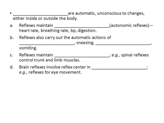 Exercise 21 human reflex physiology