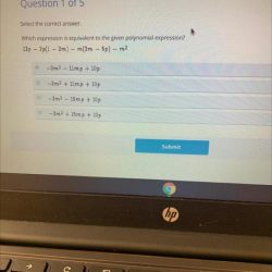 Expression polynomial equivalent which