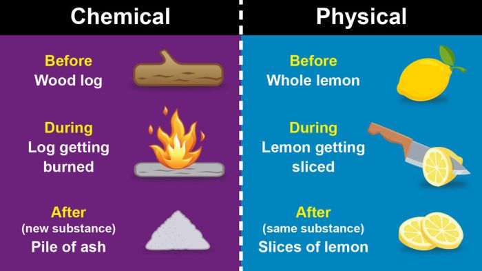 Physical chemical changes and properties color by number