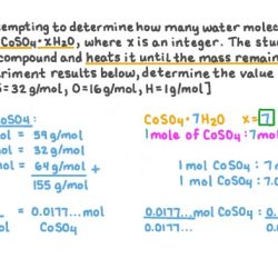 Percent composition of a hydrate lab answer key